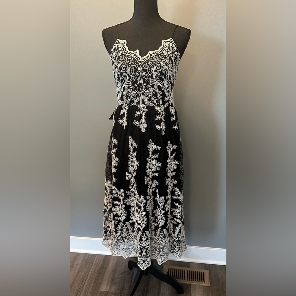 Express embroidered midi dress NWT